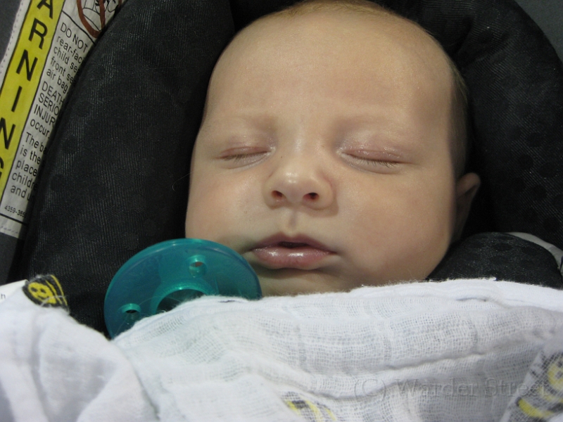 William's Ninth Week 04.jpg